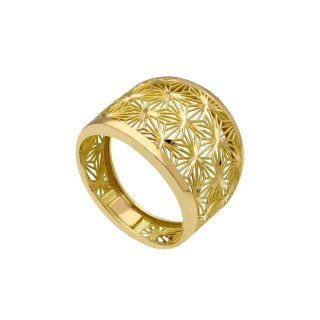 Anello Fascia Scalare