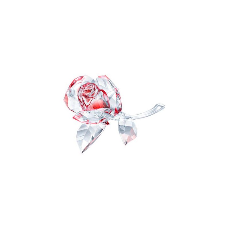 Bocciolo di Rosa, Rosso