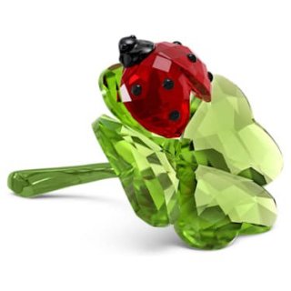 Idyllia Coccinella E Quadrifoglio