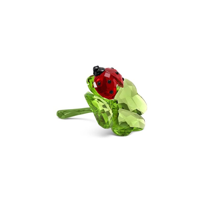 Idyllia Coccinella E Quadrifoglio