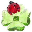 Idyllia Coccinella E Quadrifoglio