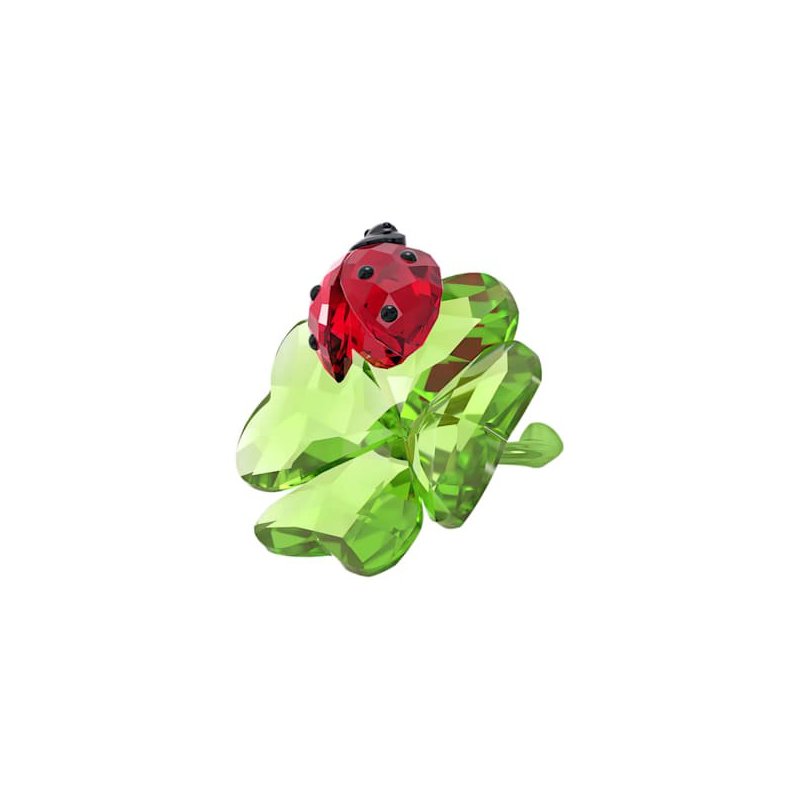 Idyllia Coccinella E Quadrifoglio