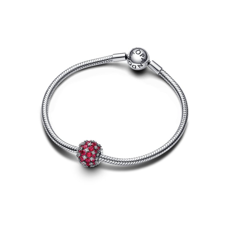 Charm Da Donna Pandora Moments In Argento Sterling 925