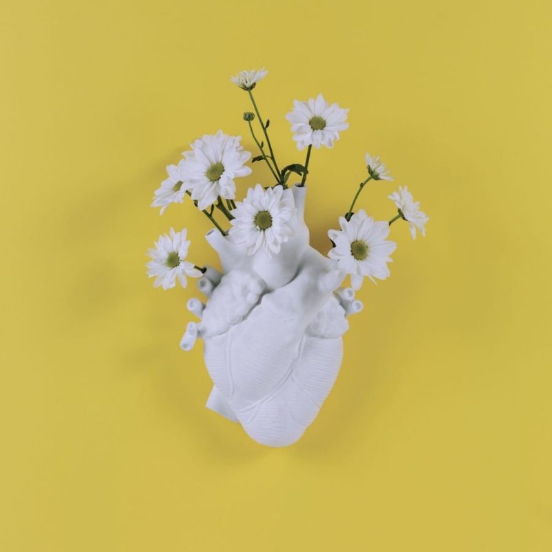 Love in Bloom - Heart Vase - Marcantonio - Vaso a Cuore - Seletti