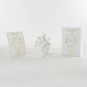 Love in Bloom - Heart Vase - Marcantonio - Vaso a Cuore - Seletti