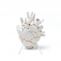 Love in Bloom Kinku - Seletti