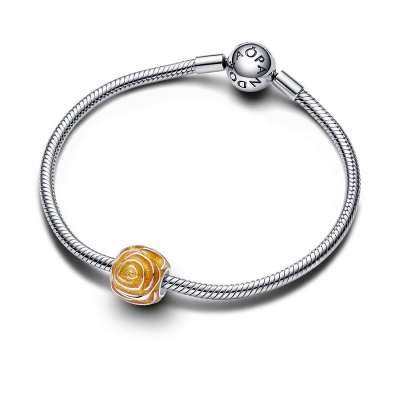 Charm Rosa Gialla