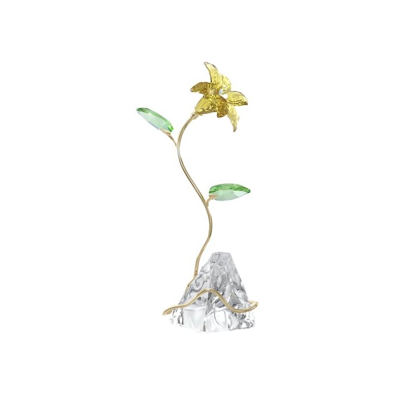 Florere Giglio