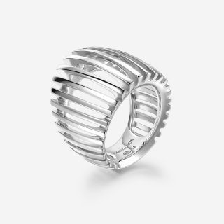 Anello Dorifora