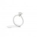Solitari-Anniversary