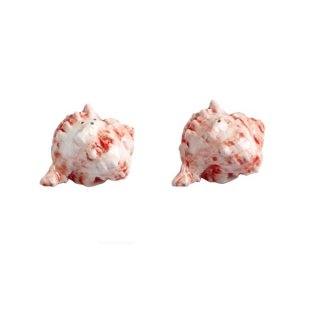 Set Sale E Pepe Mar Rosso