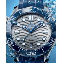 Omega - Seamaster Diver 300M - 42 Mm - Acciaio