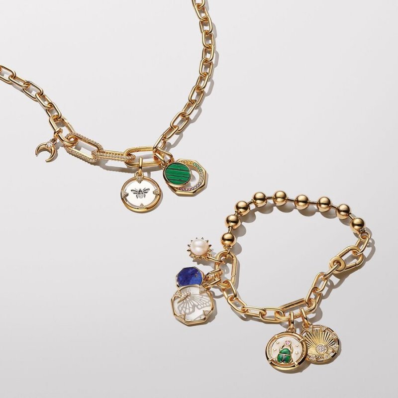 Charm Medallion Ape Pandora ME