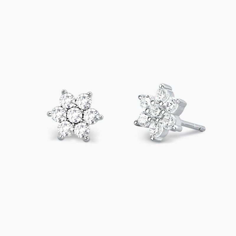 Mabina - Orecchini Stella Polare - Argento 925 - Zirconi