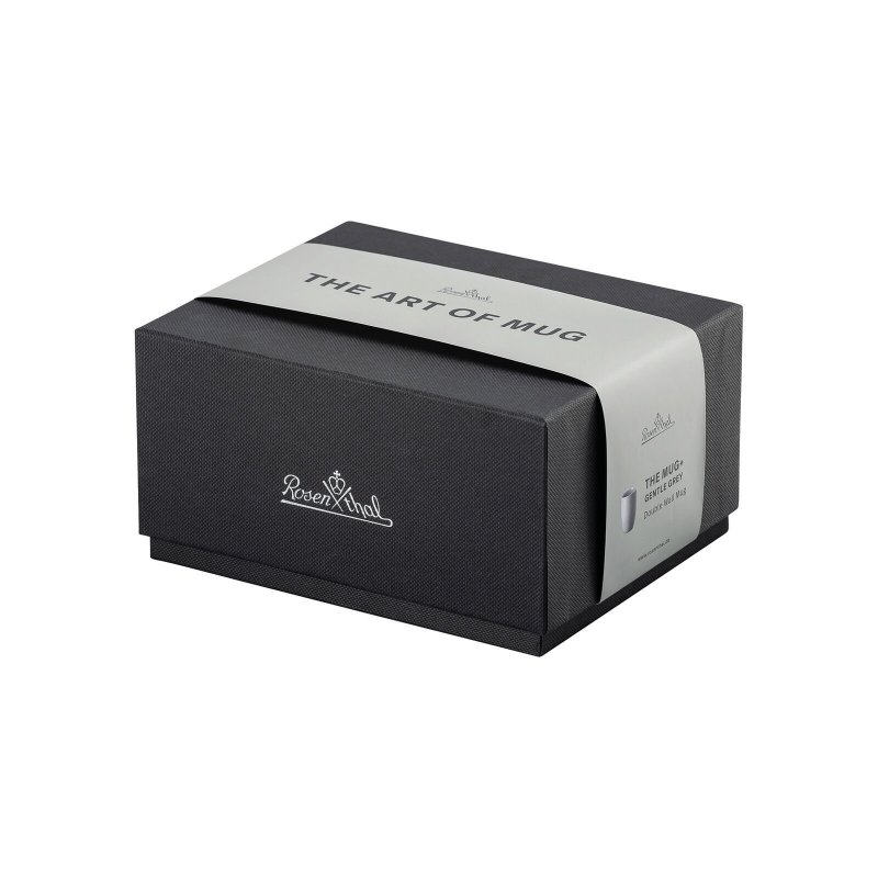 Rosenthal - Porcellana Rosenthal-Mug A Doppio Spessore