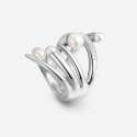 Anello Cuspis