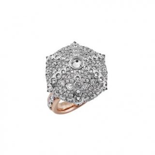 Chantecler - Anello Mediterranea - Oro Bianco - Oro Rosa
