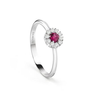 Damiani - Anello Margherita - Oro Bianco - Diamante/Rubino