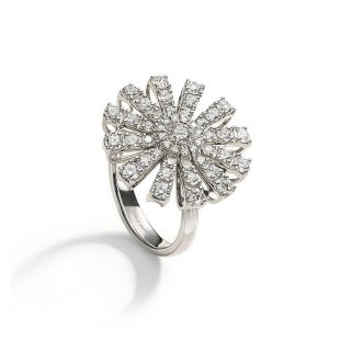 Damiani - Anello Margherita - Oro Bianco - Diamante
