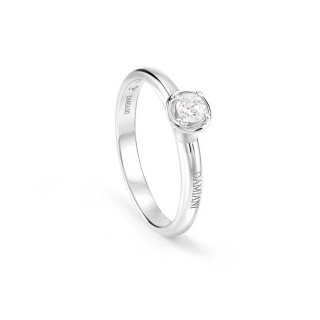 Damiani - Anello Minou - Oro Bianco - Diamante