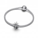 Charm Stella Polare Luminosa