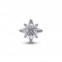 Charm Stella Polare Luminosa