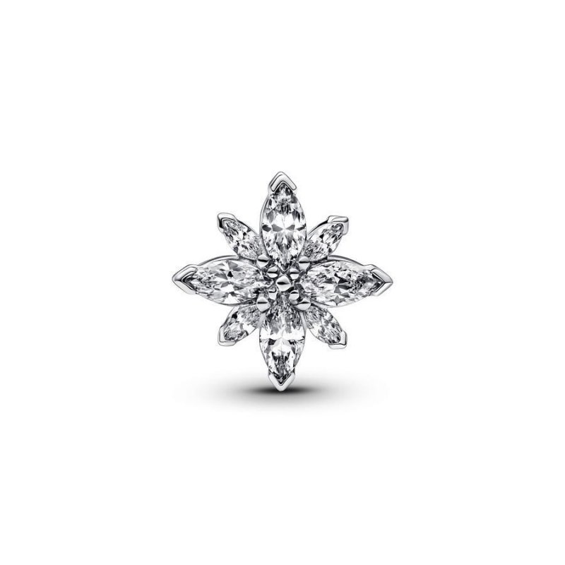 Charm Stella Polare Luminosa