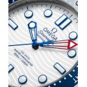 Seamaster Diver 300M America'S Cup