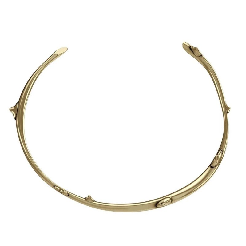 Collana Unisex John Richmond Girocollo Spine Bronzo Dorato Jrtn01By