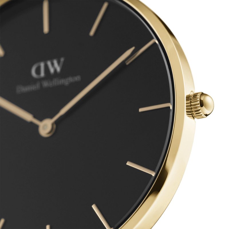 Daniel Wellington - Petite Evergold - Oro - Acciaio