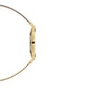 Daniel Wellington - Petite Evergold - Oro - Acciaio