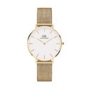 Daniel Wellington - Petite Evergold 36 - Oro - Acciaio