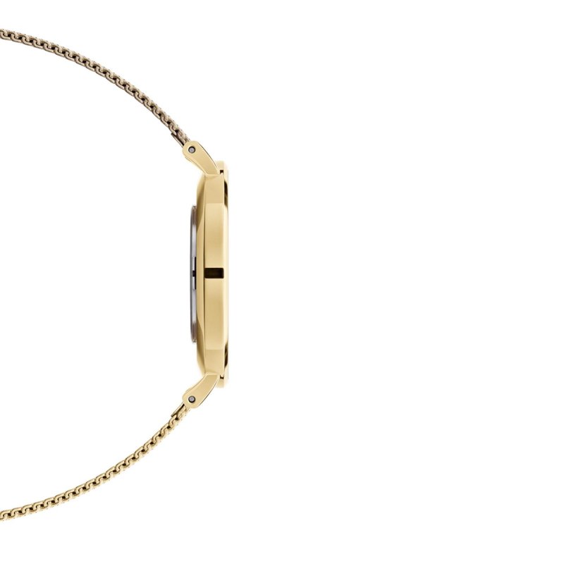 Daniel Wellington - Petite Evergold 36 - Oro - Acciaio