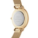 Daniel Wellington - Petite Evergold 36 - Oro - Acciaio