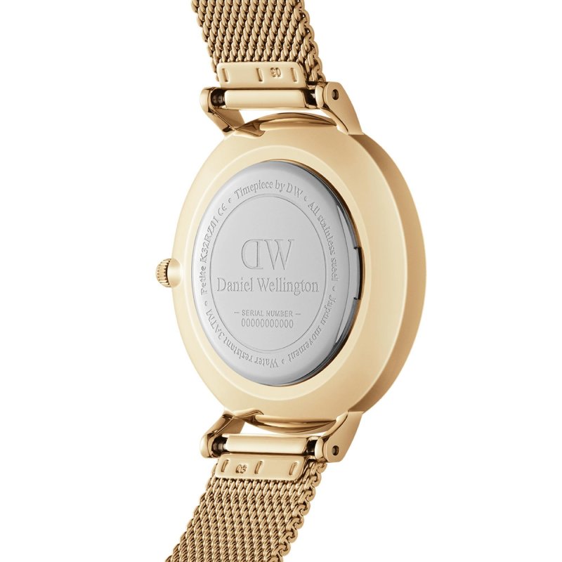 Daniel Wellington - Petite Evergold 36 - Oro - Acciaio