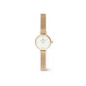 Daniel Wellington - Petite Mini Evergold - Oro - Elegante