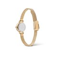 Daniel Wellington - Petite Mini Evergold - Oro - Elegante