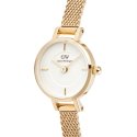Daniel Wellington - Petite Mini Evergold - Oro - Elegante