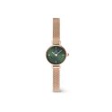 Daniel Wellington - Petite Mini Smaraldo - Oro Rosa - Verde