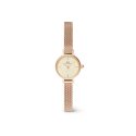 Daniel Wellington - Petite Mini Melrose - Oro Rosa