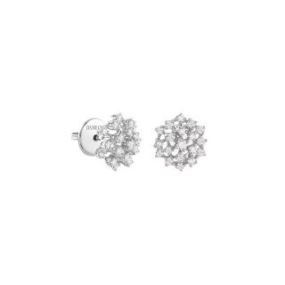 Damiani - Orecchini Mimosa - Oro Bianco - Diamante