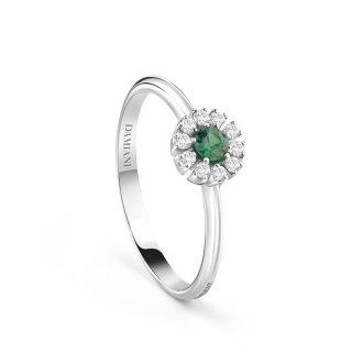 Damiani - Anello Margherita - Oro Bianco - Diamante