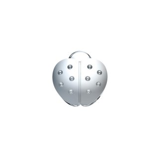 Donnaoro - Coccinella Oro Bianco - Icone