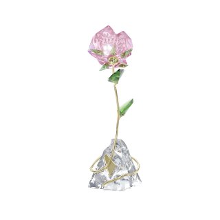 Swarovski - Florere Rosa - Cristalli - Rosa