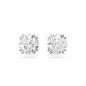 Swarovski - Orecchini A Lobo Stilla - Placcato Rodio