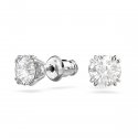 Swarovski - Orecchini A Lobo Stilla - Placcato Rodio