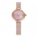 Swarovski - Orologio Illumina - Acciaio - Rosa