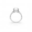 Swarovski - Anello Cocktail Stilla - Placcato Rodio