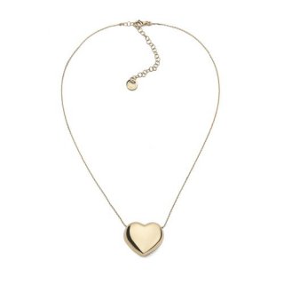 Collana In Argento Dorato Con Cuore Grande