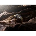 Longines - Legend Diver - Cinturino Sintetico - Beige